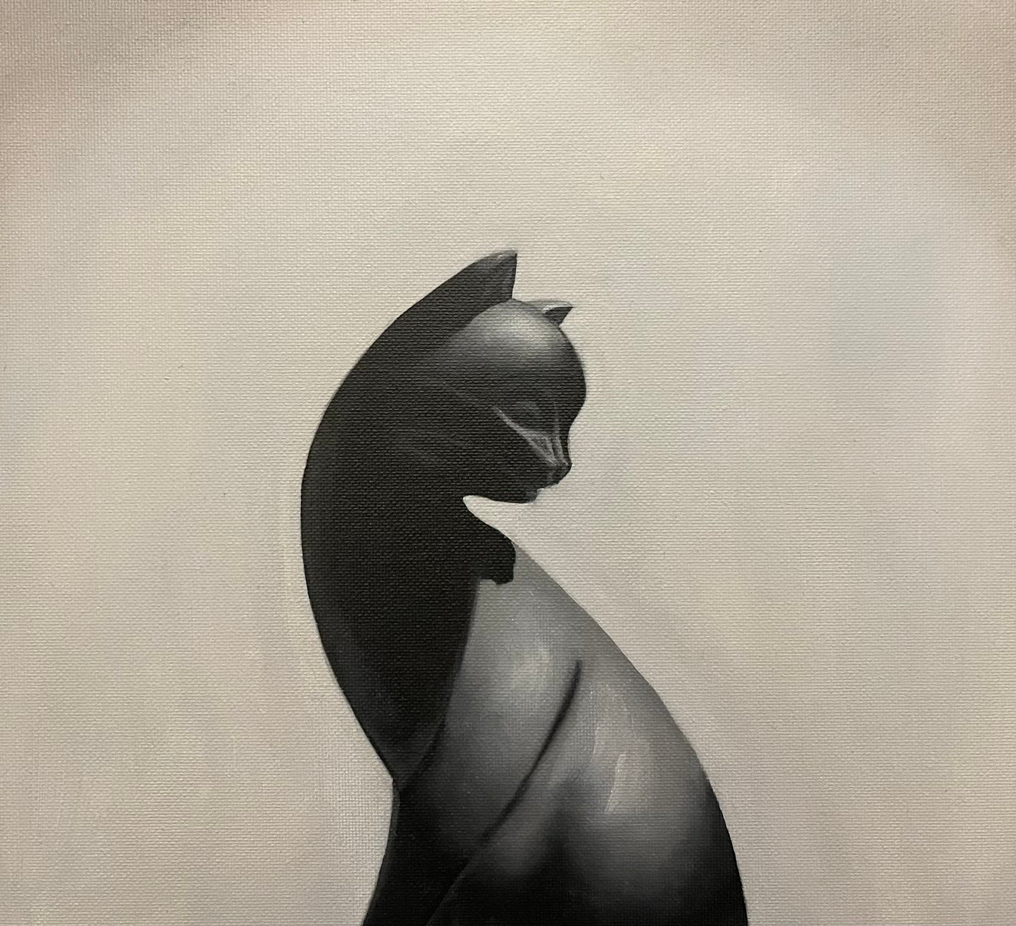 Kater im Betonrausch